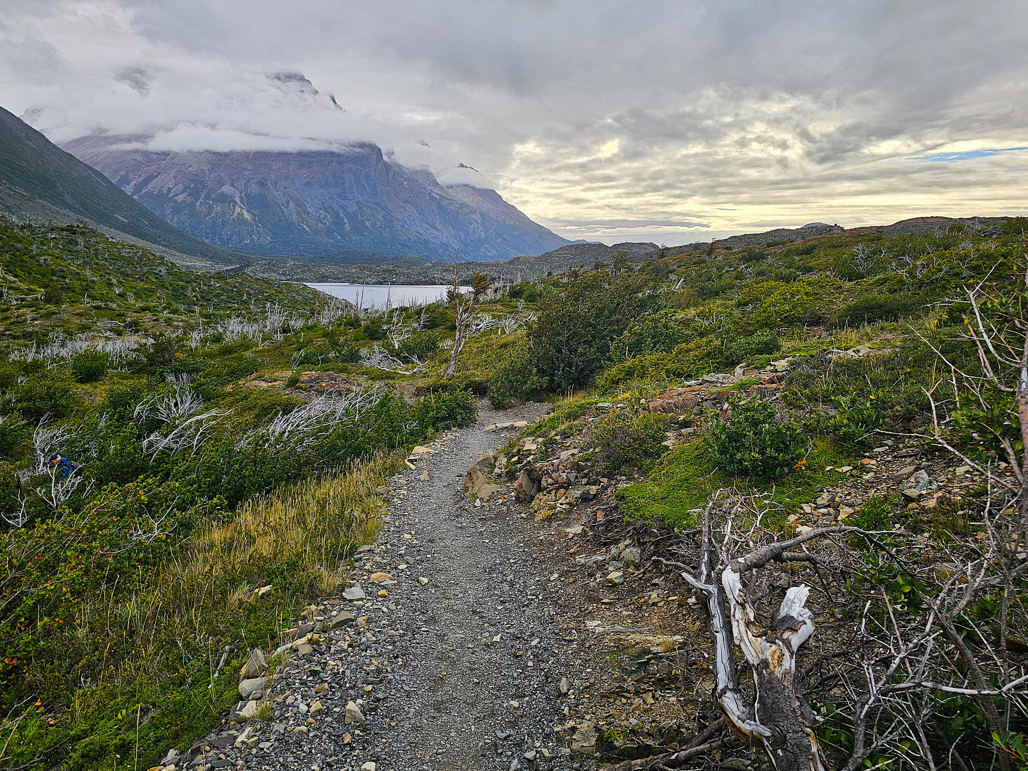 Torres del Paine